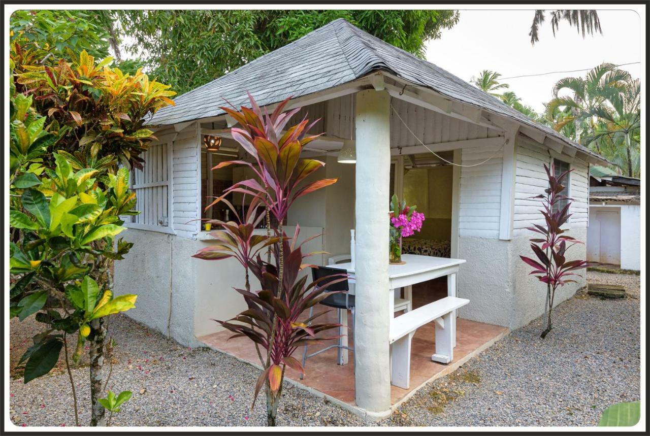 Residence San Ferreol Las Terrenas Dış mekan fotoğraf